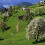 A House With The View