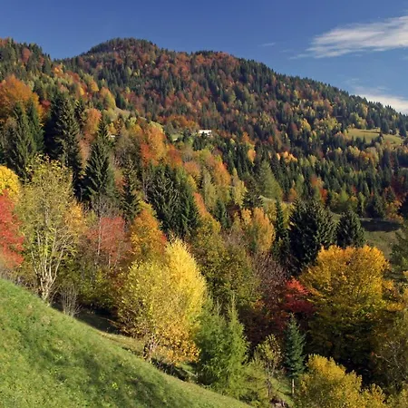 Апартаменты A House With The View Средня-Вас-в-Бохиню