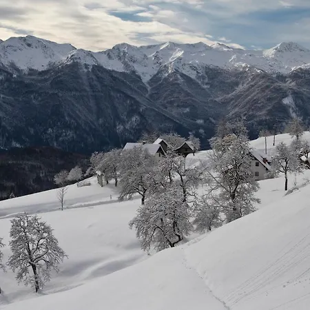 A House With The View Апартаменты Средня-Вас-в-Бохиню