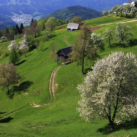 A House With The View