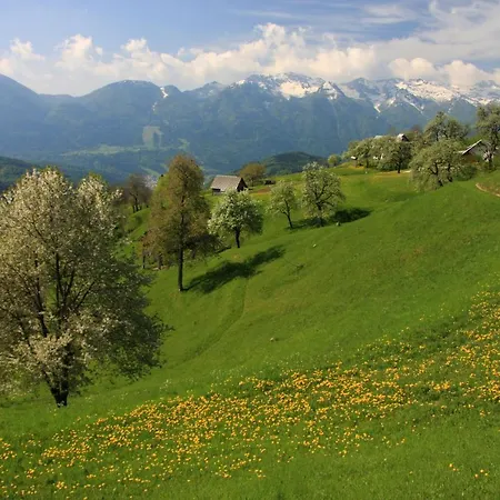 A House With The View Appartement