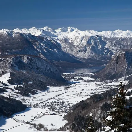 Apartman A House With The View *