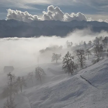 Appartement A House With The View