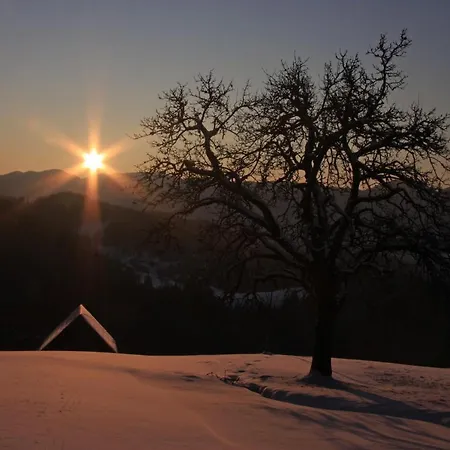 A House With The View Appartement