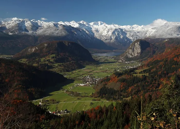 A House With The View דירה *