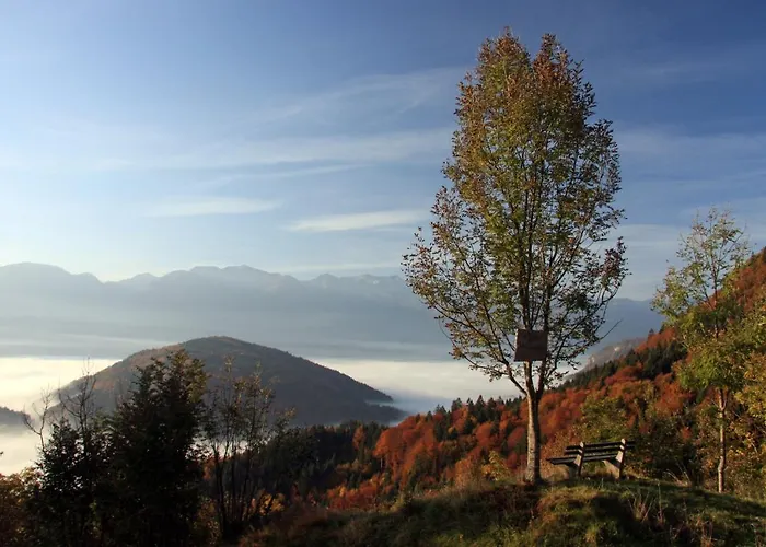 A House With The View דירה *