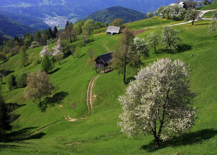 A House With The View