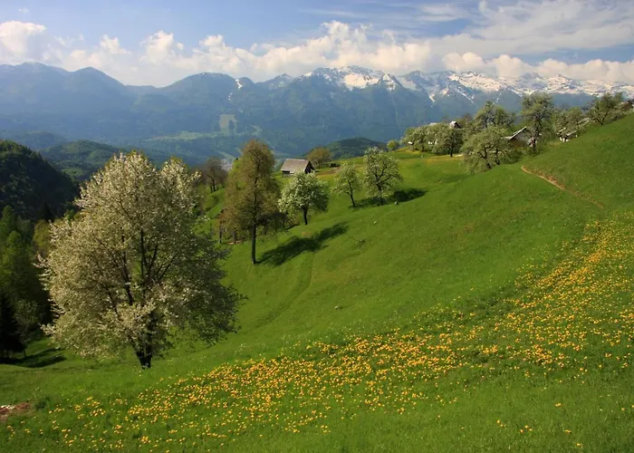 A House With The View דירה