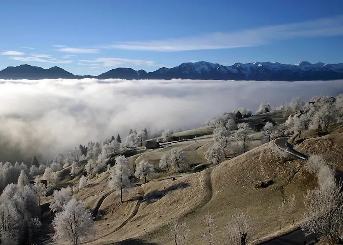 A House With The View דירה *