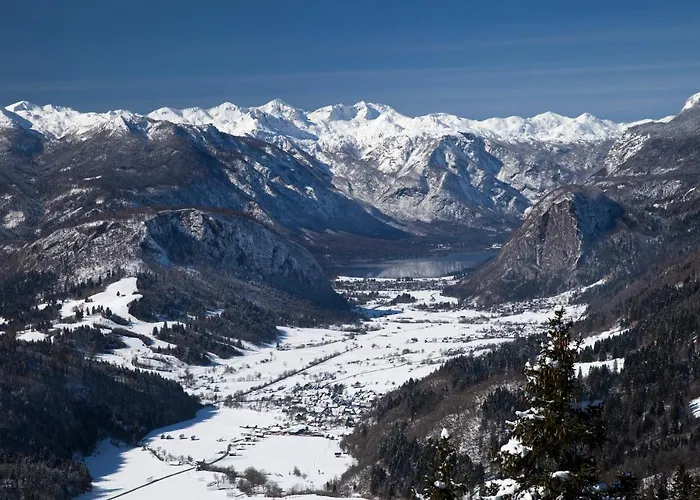 דירה A House With The View *