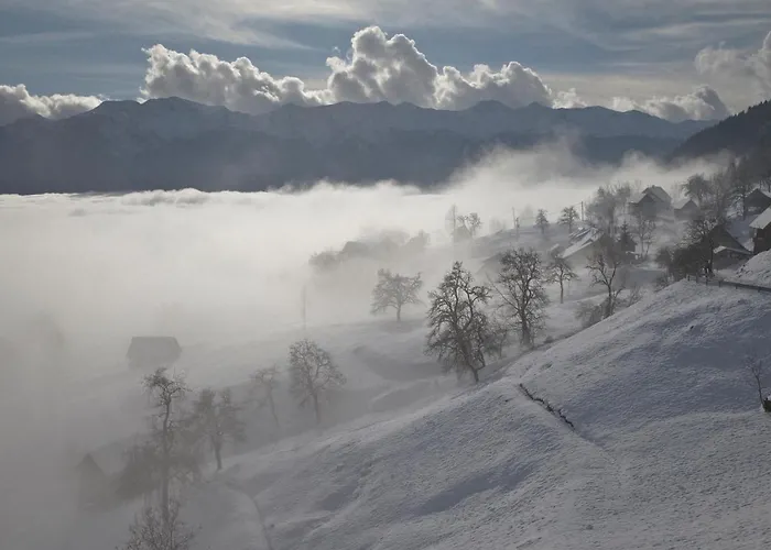 דירה A House With The View