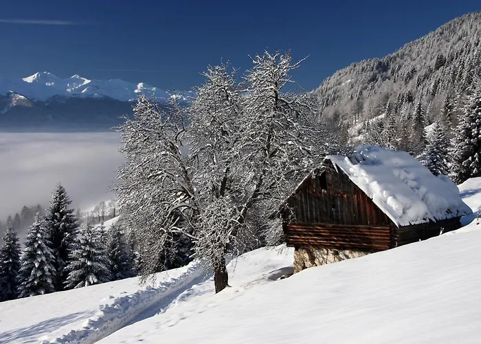 A House With The View Srednja Vas v Bohinju